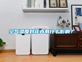 行業新聞空氣濕度對花卉有什么影響？