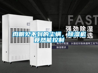 行業新聞肉眼見不到的塵螨，除濕機竟然能控制
