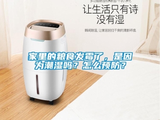 常見問題家里的糧食發霉了，是因為潮濕嗎？怎么預防？