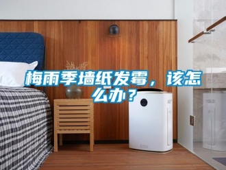常見問題梅雨季墻紙發霉，該怎么辦？