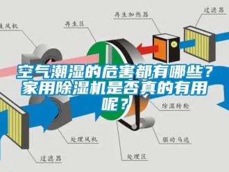 常見問題空氣潮濕的危害都有哪些？家用除濕機是否真的有用呢？