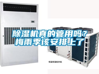 常見問題除濕機真的管用嗎？梅雨季該安排上了