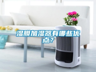 知識百科濕膜加濕器有哪些優點？