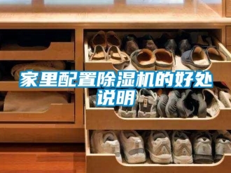 行業新聞家里配置除濕機的好處說明