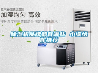 企業新聞除濕機品牌都有哪些 小編給你推薦
