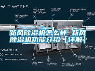 常見問題新風除濕機怎么樣 新風除濕機功能介紹【詳解】