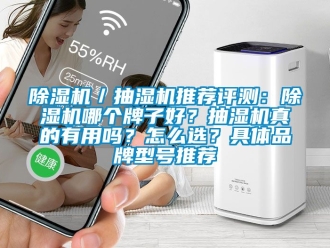 企業新聞除濕機／抽濕機推薦評測：除濕機哪個牌子好？抽濕機真的有用嗎？怎么選？具體品牌型號推薦