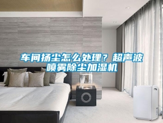 常見問題車間揚塵怎么處理？超聲波噴霧除塵加濕機