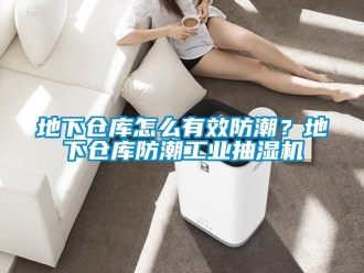 企業新聞地下倉庫怎么有效防潮？地下倉庫防潮工業抽濕機