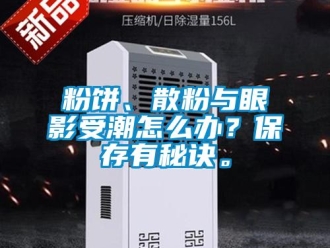 常見問題粉餅、散粉與眼影受潮怎么辦？保存有秘訣。
