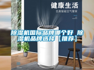 企業新聞除濕機國際品牌哪個好 除濕機品牌選擇【推薦】