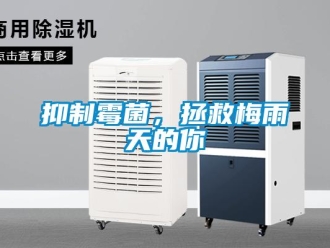 知識百科抑制霉菌，拯救梅雨天的你