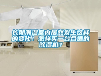 行業新聞長期潮濕室內居然發生這樣的變化！怎樣買一臺合適的除濕機？