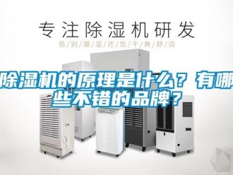 企業新聞除濕機的原理是什么？有哪些不錯的品牌？