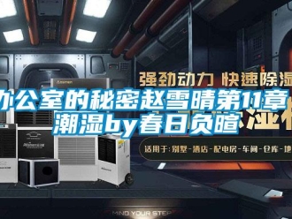 企業新聞辦公室的秘密趙雪晴第11章 潮濕by春日負暄