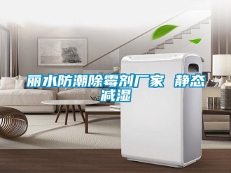 常見問題麗水防潮除霉劑廠家 靜態減濕