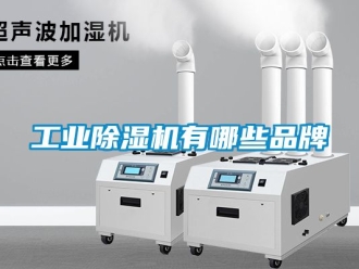 常見問題工業除濕機有哪些品牌