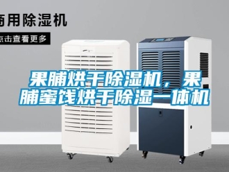 行業新聞果脯烘干除濕機，果脯蜜餞烘干除濕一體機