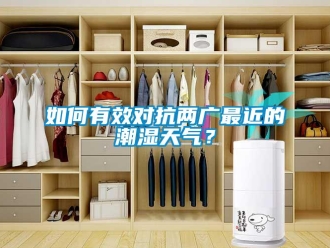 常見問題如何有效對抗兩廣最近的潮濕天氣？