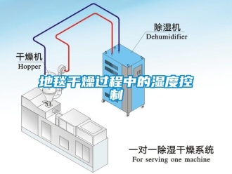 企業新聞地毯干燥過程中的濕度控制