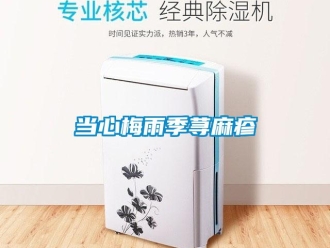 企業新聞當心梅雨季蕁麻疹