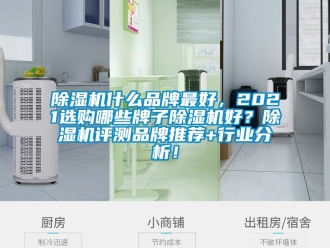 企業新聞除濕機什么品牌最好，2021選購哪些牌子除濕機好？除濕機評測品牌推薦+行業分析！