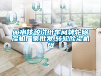 企業新聞麗水核酸試紙車間轉輪除濕機廠家批發,轉輪除濕機組
