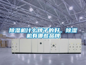 企業新聞除濕機什么牌子的好，除濕機有哪些品牌