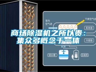 知識百科商場除濕機之所以貴：集眾多概念于一體