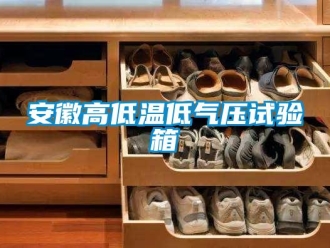常見問題安徽高低溫低氣壓試驗箱