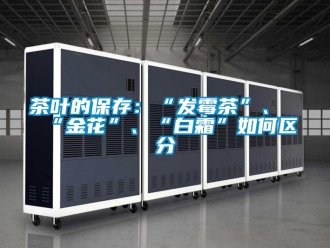 常見問題茶葉的保存：“發霉茶”、“金花”、“白霜”如何區分