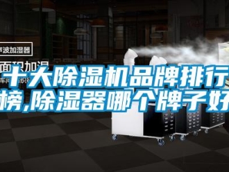 企業新聞十大除濕機品牌排行榜,除濕器哪個牌子好