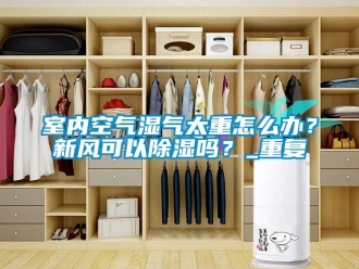 企業新聞室內空氣濕氣太重怎么辦？新風可以除濕嗎？_重復