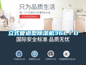 行業新聞立式管道型除濕機36L／D