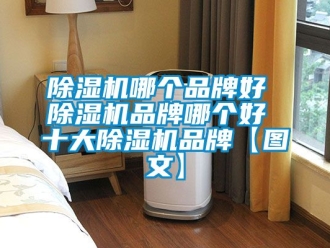 企業新聞除濕機哪個品牌好 除濕機品牌哪個好 十大除濕機品牌【圖文】