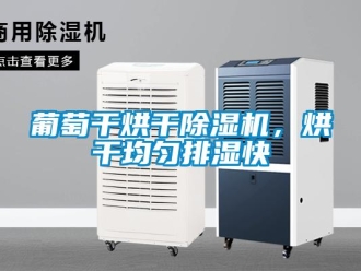 行業新聞葡萄干烘干除濕機，烘干均勻排濕快