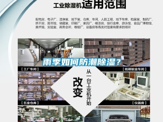 常見問題雨季如何防潮除濕？