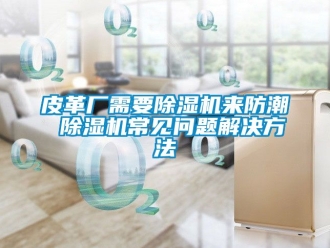 行業新聞皮革廠需要除濕機來防潮 除濕機常見問題解決方法