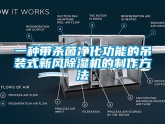 常見問題一種帶殺菌凈化功能的吊裝式新風除濕機的制作方法