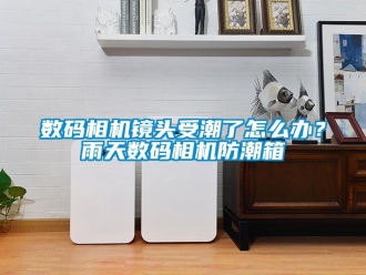 常見問題數碼相機鏡頭受潮了怎么辦？雨天數碼相機防潮箱