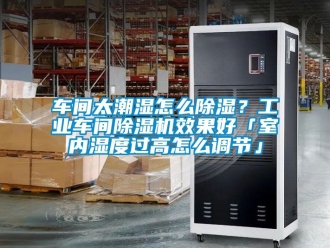 常見問題車間太潮濕怎么除濕？工業車間除濕機效果好「室內濕度過高怎么調節」