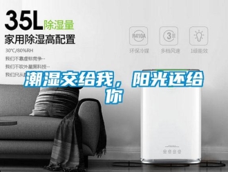 企業新聞潮濕交給我，陽光還給你