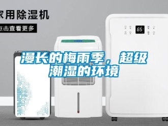 行業新聞漫長的梅雨季，超級潮濕的環境