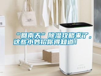 常見問題“回南天”除濕攻略來了，這些小妙招你得知道！