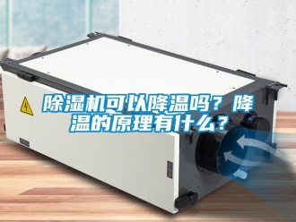 行業新聞除濕機可以降溫嗎？降溫的原理有什么？