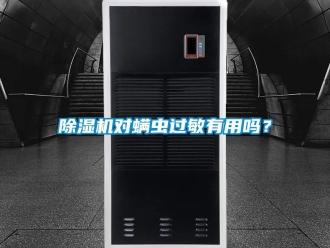 行業新聞除濕機對螨蟲過敏有用嗎？