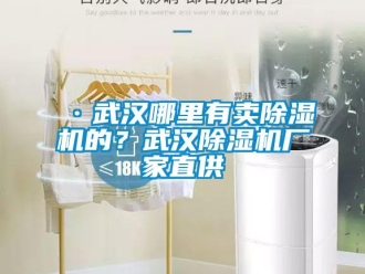 企業新聞·武漢哪里有賣除濕機的？武漢除濕機廠家直供