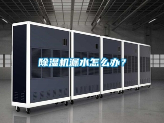 行業新聞除濕機漏水怎么辦？