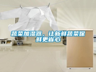 知識百科蔬菜加濕器，讓新鮮蔬菜保鮮更省心