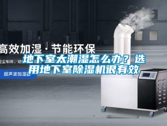 常見問題地下室太潮濕怎么辦？選用地下室除濕機很有效